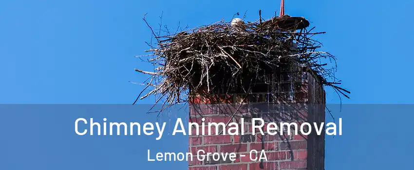 Chimney Animal Removal Lemon Grove - CA