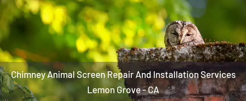  Chimney Animal Screen Repair And Installation Services Lemon Grove - CA