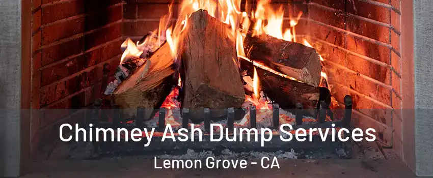  Chimney Ash Dump Services Lemon Grove - CA