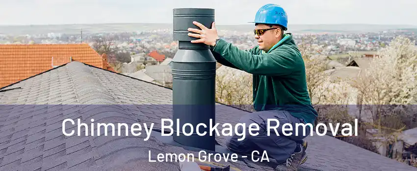  Chimney Blockage Removal Lemon Grove - CA