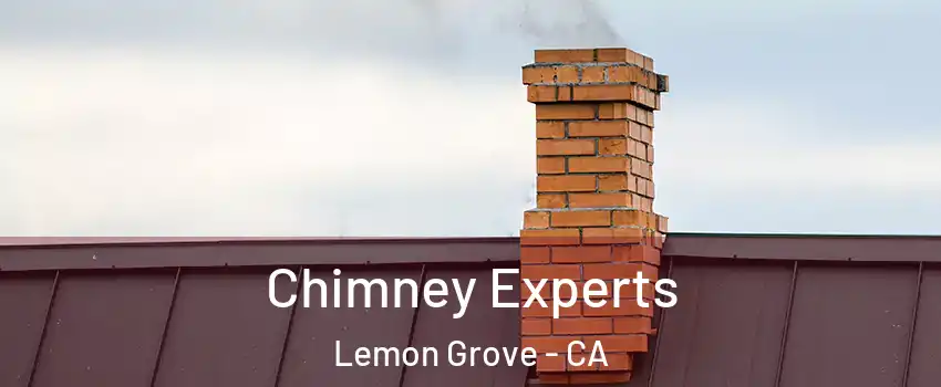 Chimney Experts Lemon Grove - CA