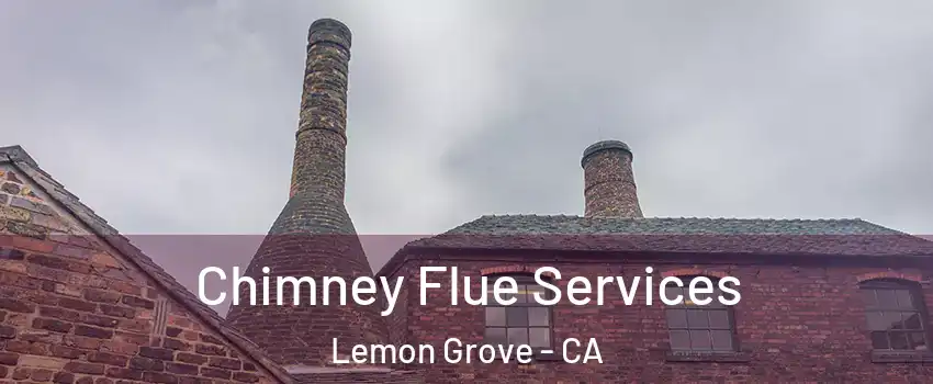  Chimney Flue Services Lemon Grove - CA
