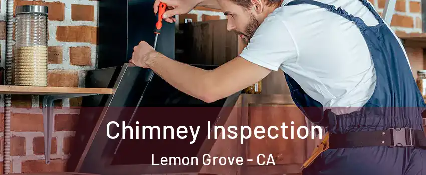  Chimney Inspection Lemon Grove - CA