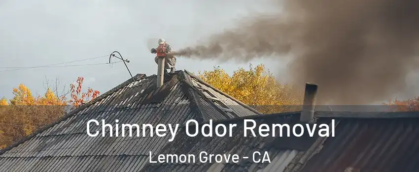  Chimney Odor Removal Lemon Grove - CA