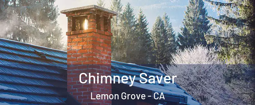  Chimney Saver Lemon Grove - CA