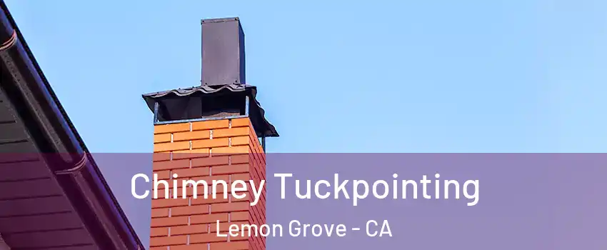  Chimney Tuckpointing Lemon Grove - CA