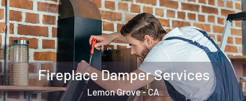 Fireplace Damper Services Lemon Grove - CA
