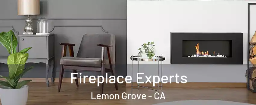  Fireplace Experts Lemon Grove - CA