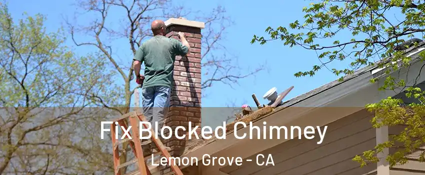  Fix Blocked Chimney Lemon Grove - CA