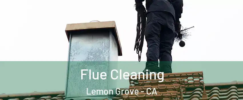  Flue Cleaning Lemon Grove - CA