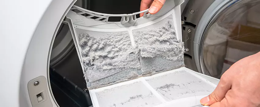 Best Dryer Lint Removal Company in Lemon Grove, California