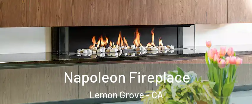  Napoleon Fireplace Lemon Grove - CA