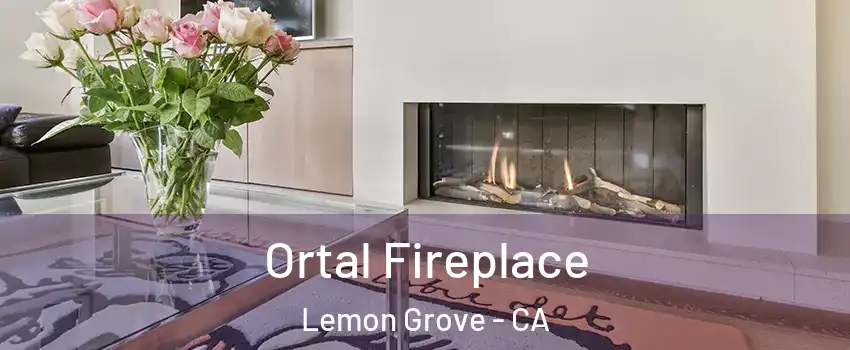 Ortal Fireplace Lemon Grove - CA